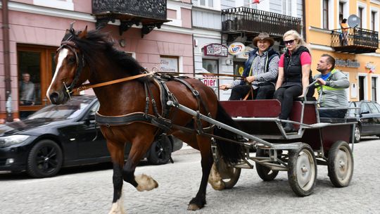 Majowa parada koni w Krasnymstawie. Dzień pełen atrakcji  [GALERIA ZDJĘĆ]
