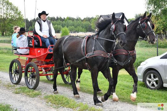 Majowa parada koni w Krasnymstawie. Dzień pełen atrakcji  [GALERIA ZDJĘĆ]