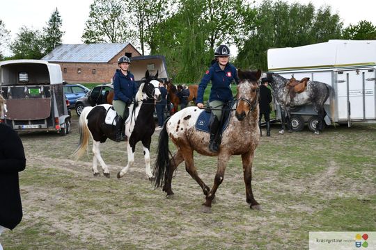 Majowa parada koni w Krasnymstawie. Dzień pełen atrakcji  [GALERIA ZDJĘĆ]