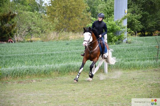 Majowa parada koni w Krasnymstawie. Dzień pełen atrakcji  [GALERIA ZDJĘĆ]