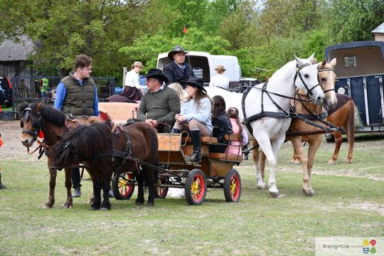 Majowa parada koni w Krasnymstawie. Dzień pełen atrakcji  [GALERIA ZDJĘĆ]