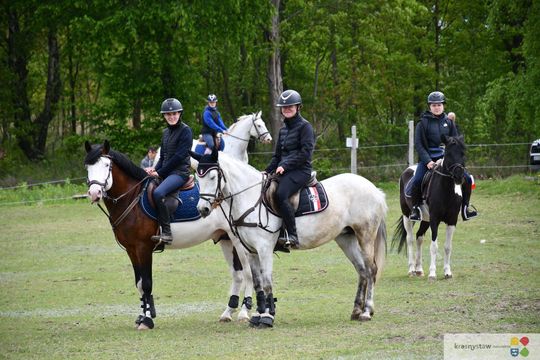 Majowa parada koni w Krasnymstawie. Dzień pełen atrakcji  [GALERIA ZDJĘĆ]