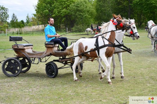 Majowa parada koni w Krasnymstawie. Dzień pełen atrakcji  [GALERIA ZDJĘĆ]