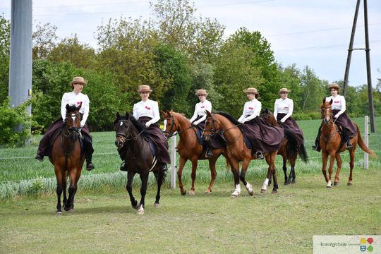 Majowa parada koni w Krasnymstawie. Dzień pełen atrakcji  [GALERIA ZDJĘĆ]