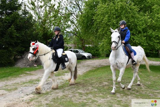 Majowa parada koni w Krasnymstawie. Dzień pełen atrakcji  [GALERIA ZDJĘĆ]