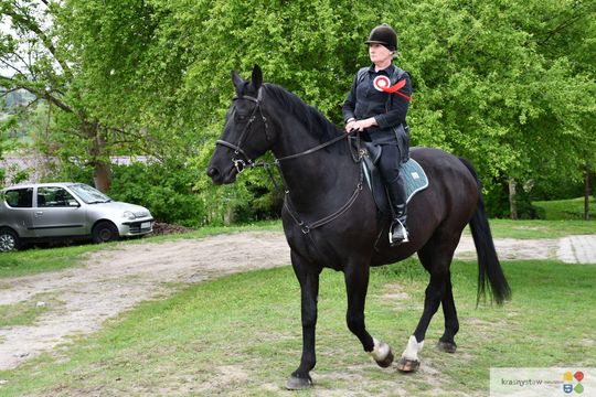 Majowa parada koni w Krasnymstawie. Dzień pełen atrakcji  [GALERIA ZDJĘĆ]