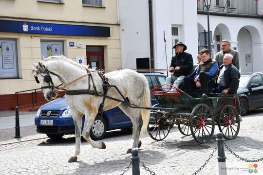 Majowa parada koni w Krasnymstawie. Dzień pełen atrakcji  [GALERIA ZDJĘĆ]