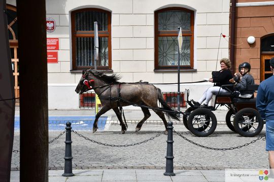 Majowa parada koni w Krasnymstawie. Dzień pełen atrakcji  [GALERIA ZDJĘĆ]