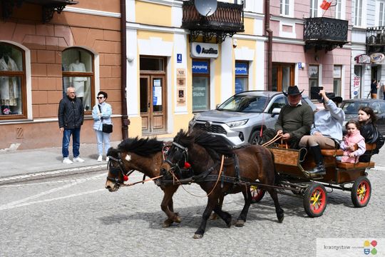 Majowa parada koni w Krasnymstawie. Dzień pełen atrakcji  [GALERIA ZDJĘĆ]