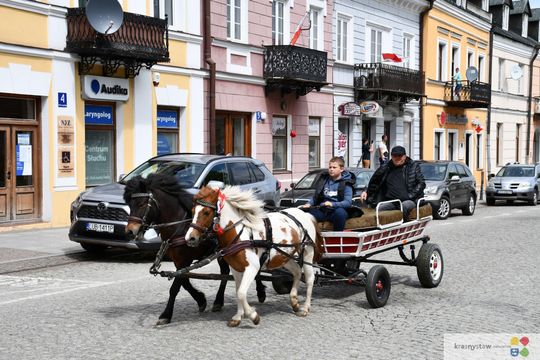 Majowa parada koni w Krasnymstawie. Dzień pełen atrakcji  [GALERIA ZDJĘĆ]