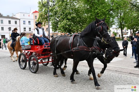 Majowa parada koni w Krasnymstawie. Dzień pełen atrakcji  [GALERIA ZDJĘĆ]