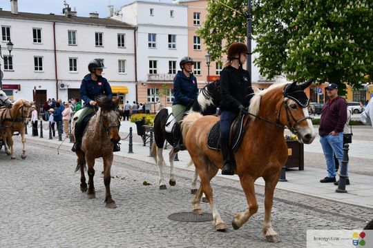 Majowa parada koni w Krasnymstawie. Dzień pełen atrakcji  [GALERIA ZDJĘĆ]