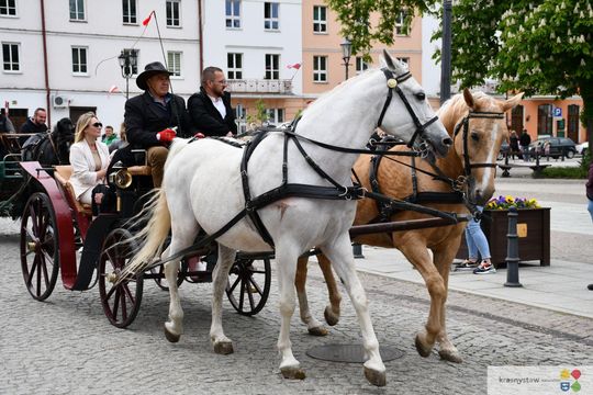 Majowa parada koni w Krasnymstawie. Dzień pełen atrakcji  [GALERIA ZDJĘĆ]
