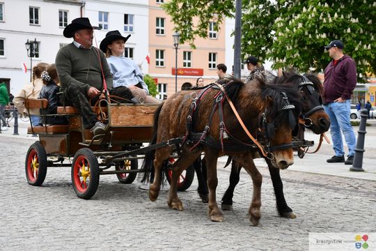 Majowa parada koni w Krasnymstawie. Dzień pełen atrakcji  [GALERIA ZDJĘĆ]