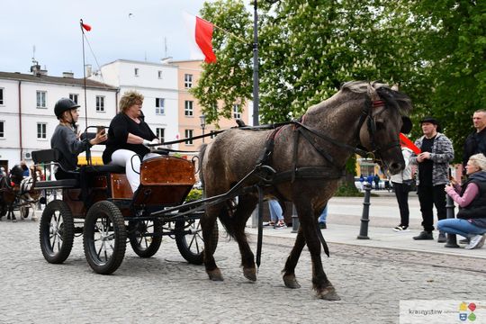 Majowa parada koni w Krasnymstawie. Dzień pełen atrakcji  [GALERIA ZDJĘĆ]