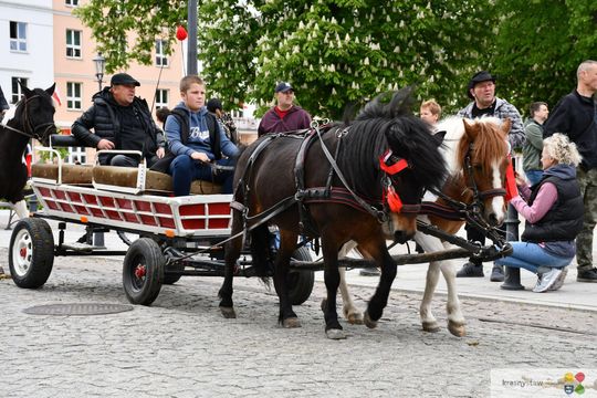 Majowa parada koni w Krasnymstawie. Dzień pełen atrakcji  [GALERIA ZDJĘĆ]