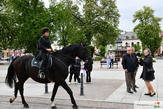Majowa parada koni w Krasnymstawie. Dzień pełen atrakcji  [GALERIA ZDJĘĆ]
