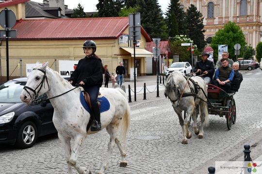 Majowa parada koni w Krasnymstawie. Dzień pełen atrakcji  [GALERIA ZDJĘĆ]
