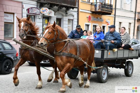 Majowa parada koni w Krasnymstawie. Dzień pełen atrakcji  [GALERIA ZDJĘĆ]