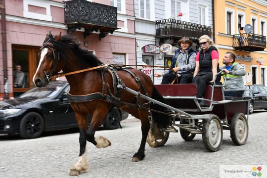 Majowa parada koni w Krasnymstawie. Dzień pełen atrakcji  [GALERIA ZDJĘĆ]
