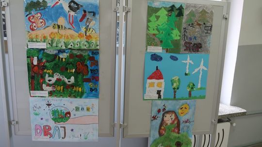 Gm. Krasnystaw. Rozstrzygnięcie konkursu - Jestem przyjacielem przyrody [GALERIA ZDJĘĆ]