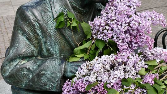 Krasnystaw. Happening z okazji Imienin Stanisława Bojarczuka