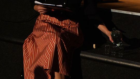 Krasnystaw. VI Festiwal Sztuk Krasnych im. Stanisława Bojarczuka [GALERIA ZDJĘĆ]