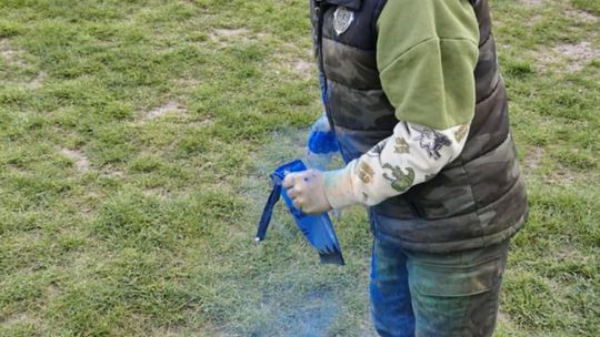 Radosna niedziela! Spotkanie z dinozaurem i Dzień Kolorów w Chełmie [GALERIA ZDJĘĆ]