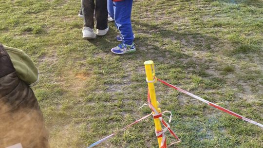 Radosna niedziela! Spotkanie z dinozaurem i Dzień Kolorów w Chełmie [GALERIA ZDJĘĆ]