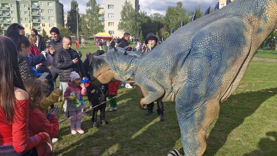 Radosna niedziela! Spotkanie z dinozaurem i Dzień Kolorów w Chełmie [GALERIA ZDJĘĆ]