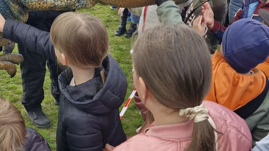 Radosna niedziela! Spotkanie z dinozaurem i Dzień Kolorów w Chełmie [GALERIA ZDJĘĆ]