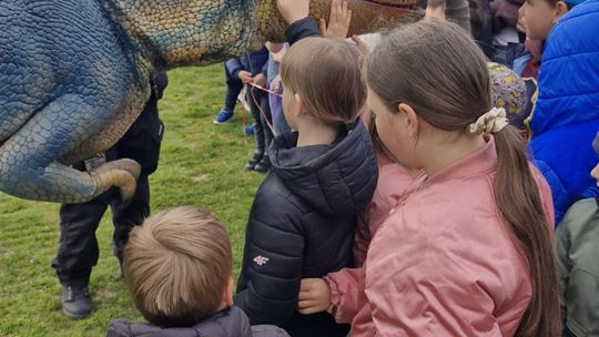 Radosna niedziela! Spotkanie z dinozaurem i Dzień Kolorów w Chełmie [GALERIA ZDJĘĆ]