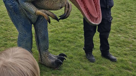 Radosna niedziela! Spotkanie z dinozaurem i Dzień Kolorów w Chełmie [GALERIA ZDJĘĆ]
