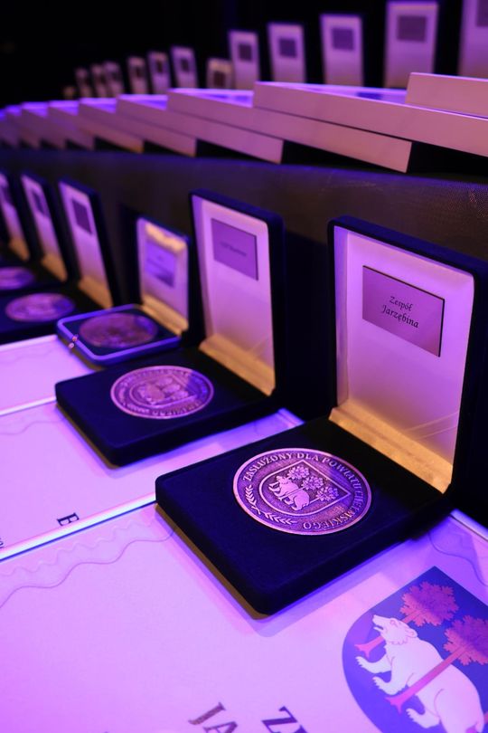 Gala Zasłużony dla Powiatu Chełmskiego 2025 cz. II [GALERIA ZDJĘĆ]