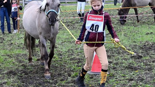 W niedzielę, 11 maja, w miejscowości Kanie-Stacja, w gminie Rejowiec Fabryczny, odbył się się III Konkurs i Pokaz Wszechstronnej Użytkowości Koni.