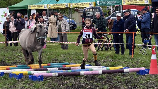 W niedzielę, 11 maja, w miejscowości Kanie-Stacja, w gminie Rejowiec Fabryczny, odbył się się III Konkurs i Pokaz Wszechstronnej Użytkowości Koni.