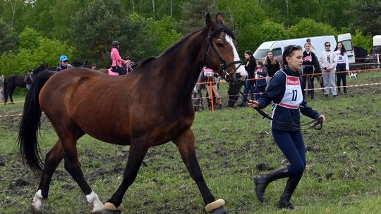 W niedzielę, 11 maja, w miejscowości Kanie-Stacja, w gminie Rejowiec Fabryczny, odbył się się III Konkurs i Pokaz Wszechstronnej Użytkowości Koni.