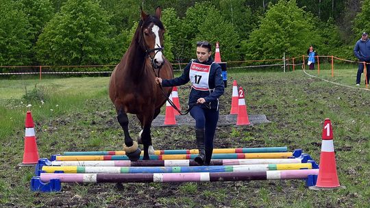 W niedzielę, 11 maja, w miejscowości Kanie-Stacja, w gminie Rejowiec Fabryczny, odbył się się III Konkurs i Pokaz Wszechstronnej Użytkowości Koni.