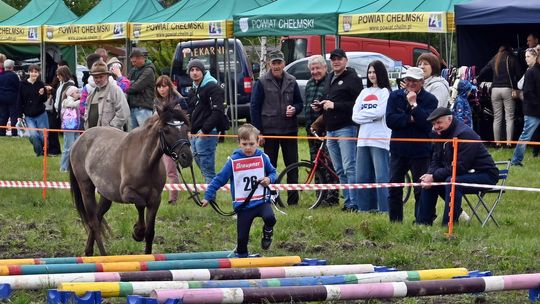 W niedzielę, 11 maja, w miejscowości Kanie-Stacja, w gminie Rejowiec Fabryczny, odbył się się III Konkurs i Pokaz Wszechstronnej Użytkowości Koni.