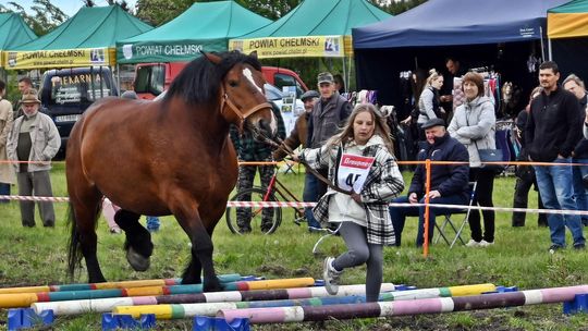 W niedzielę, 11 maja, w miejscowości Kanie-Stacja, w gminie Rejowiec Fabryczny, odbył się się III Konkurs i Pokaz Wszechstronnej Użytkowości Koni.