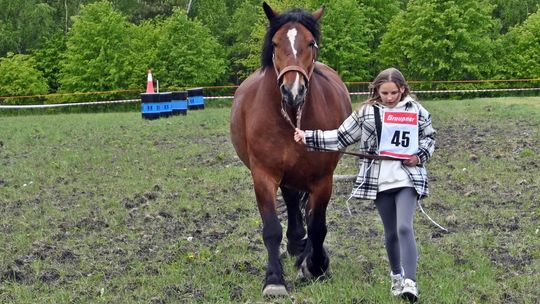 W niedzielę, 11 maja, w miejscowości Kanie-Stacja, w gminie Rejowiec Fabryczny, odbył się się III Konkurs i Pokaz Wszechstronnej Użytkowości Koni.