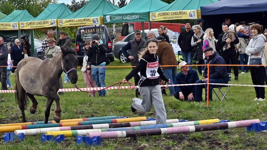 W niedzielę, 11 maja, w miejscowości Kanie-Stacja, w gminie Rejowiec Fabryczny, odbył się się III Konkurs i Pokaz Wszechstronnej Użytkowości Koni.