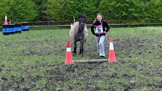 W niedzielę, 11 maja, w miejscowości Kanie-Stacja, w gminie Rejowiec Fabryczny, odbył się się III Konkurs i Pokaz Wszechstronnej Użytkowości Koni.