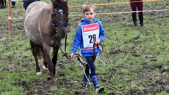 W niedzielę, 11 maja, w miejscowości Kanie-Stacja, w gminie Rejowiec Fabryczny, odbył się się III Konkurs i Pokaz Wszechstronnej Użytkowości Koni.