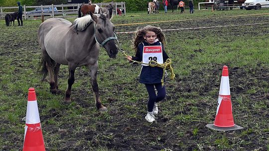 W niedzielę, 11 maja, w miejscowości Kanie-Stacja, w gminie Rejowiec Fabryczny, odbył się się III Konkurs i Pokaz Wszechstronnej Użytkowości Koni.