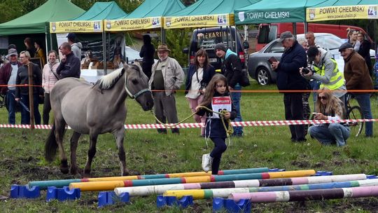 W niedzielę, 11 maja, w miejscowości Kanie-Stacja, w gminie Rejowiec Fabryczny, odbył się się III Konkurs i Pokaz Wszechstronnej Użytkowości Koni.