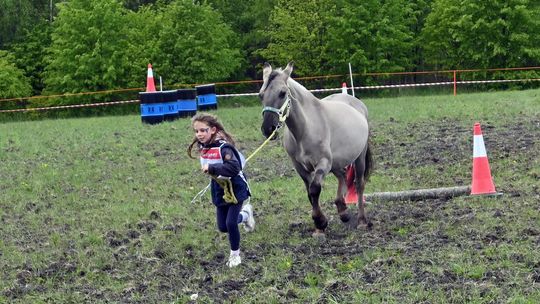 W niedzielę, 11 maja, w miejscowości Kanie-Stacja, w gminie Rejowiec Fabryczny, odbył się się III Konkurs i Pokaz Wszechstronnej Użytkowości Koni.