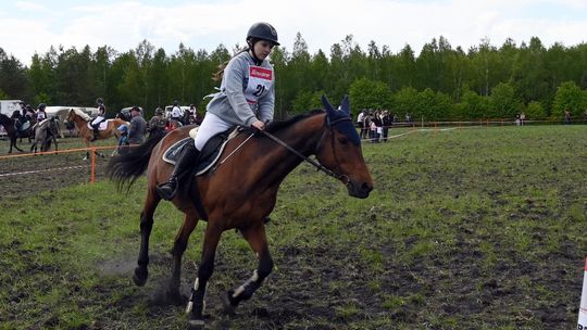 W niedzielę, 11 maja, w miejscowości Kanie-Stacja, w gminie Rejowiec Fabryczny, odbył się się III Konkurs i Pokaz Wszechstronnej Użytkowości Koni.
