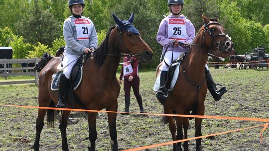 W niedzielę, 11 maja, w miejscowości Kanie-Stacja, w gminie Rejowiec Fabryczny, odbył się się III Konkurs i Pokaz Wszechstronnej Użytkowości Koni.