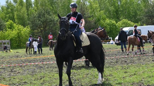 W niedzielę, 11 maja, w miejscowości Kanie-Stacja, w gminie Rejowiec Fabryczny, odbył się się III Konkurs i Pokaz Wszechstronnej Użytkowości Koni.